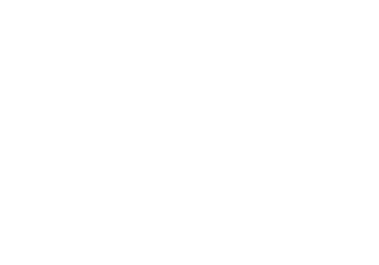 Mandarin Hotel logo