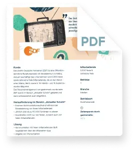 ZDF case study pdf preview
