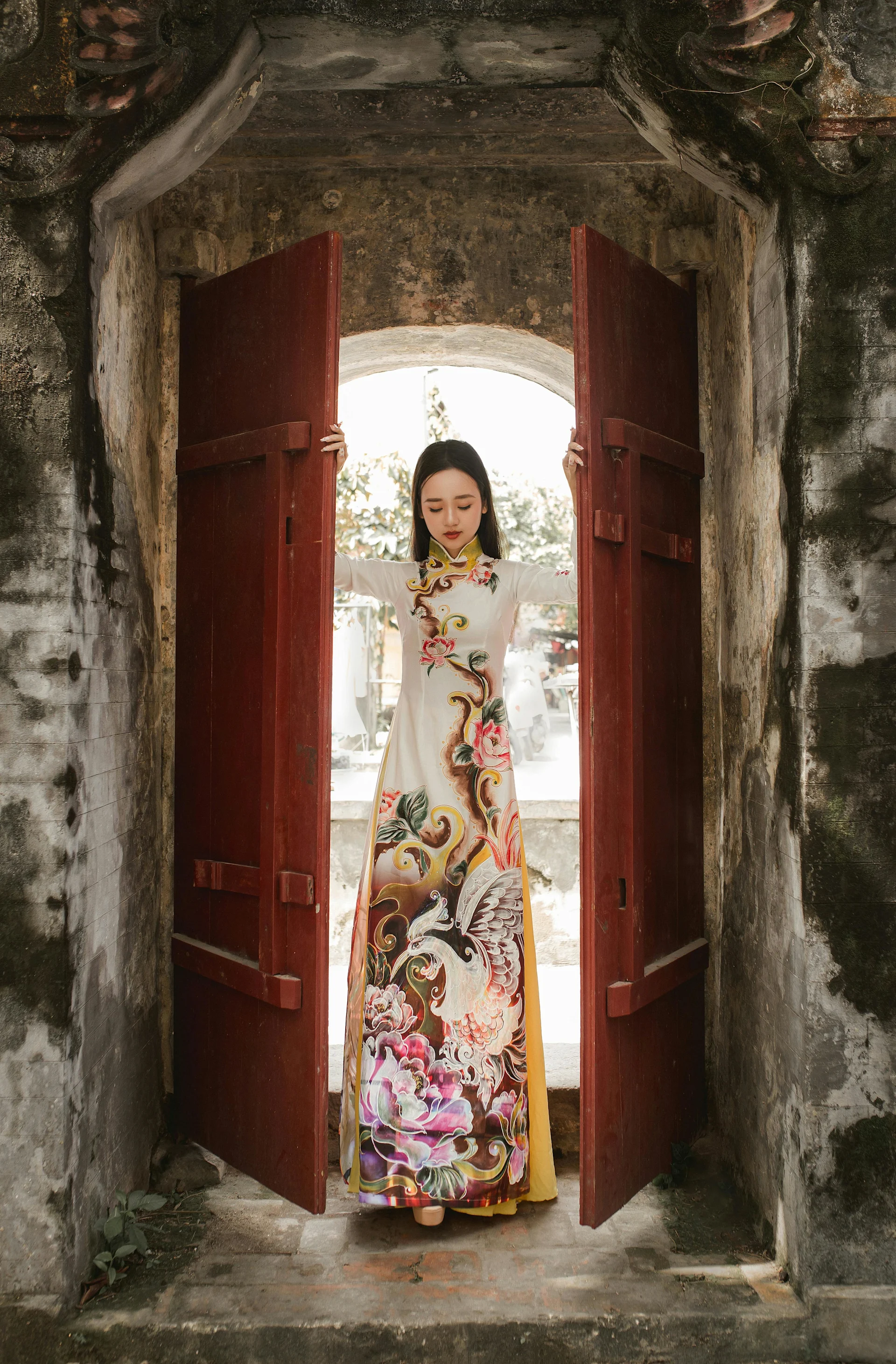 Cover Image: Colorful Áo Dài