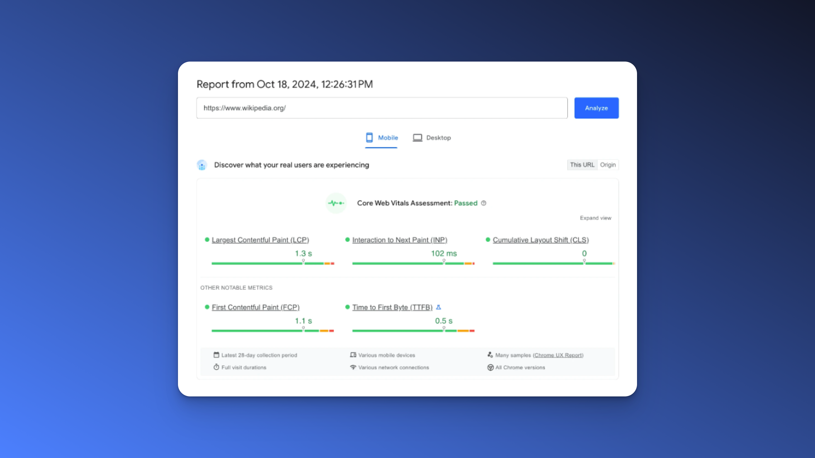 Page speed insights test result example 2