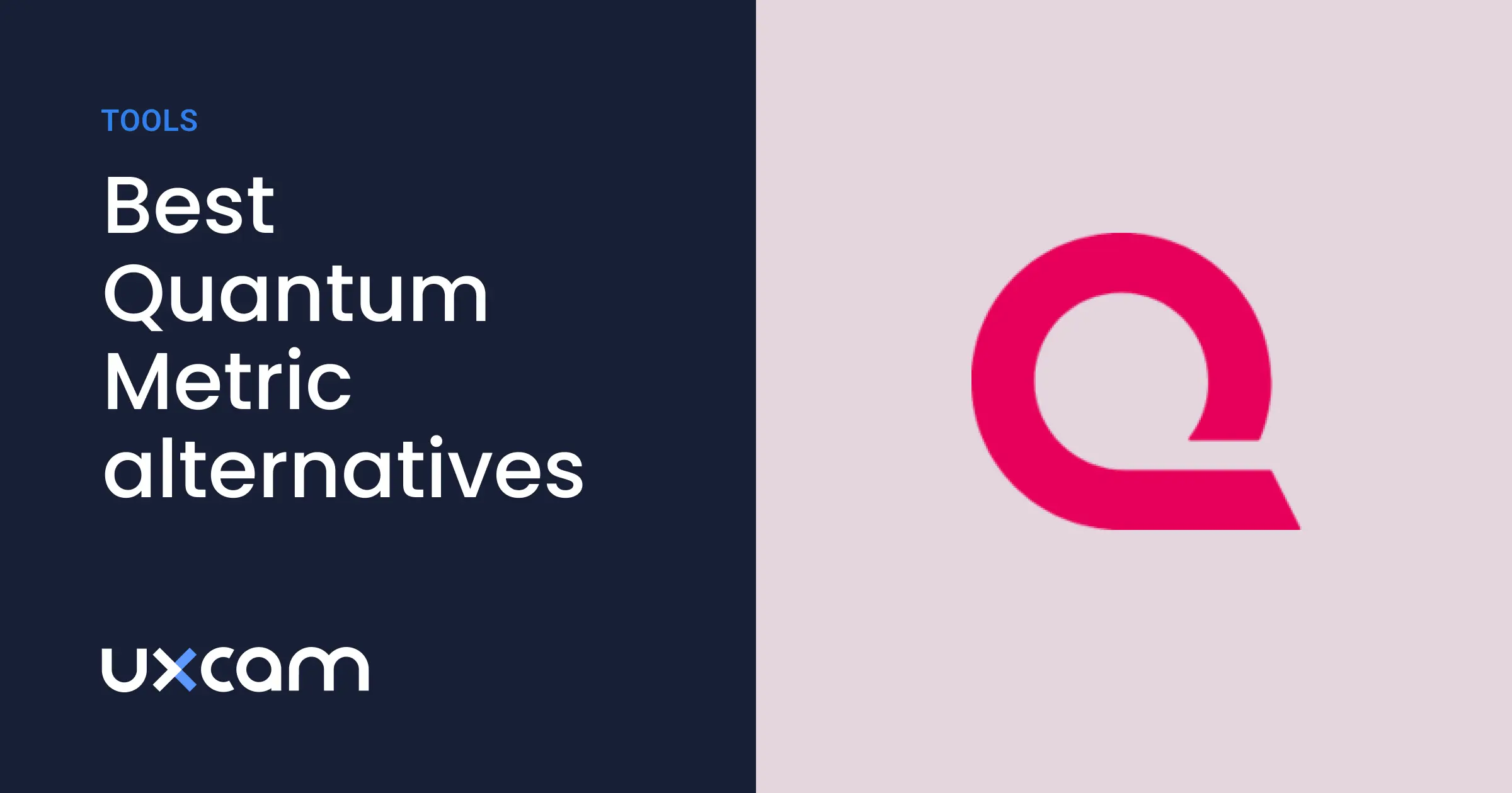 Top 5 Quantum Metric Competitors & Alternatives