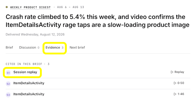 Session Recording Evidence AI