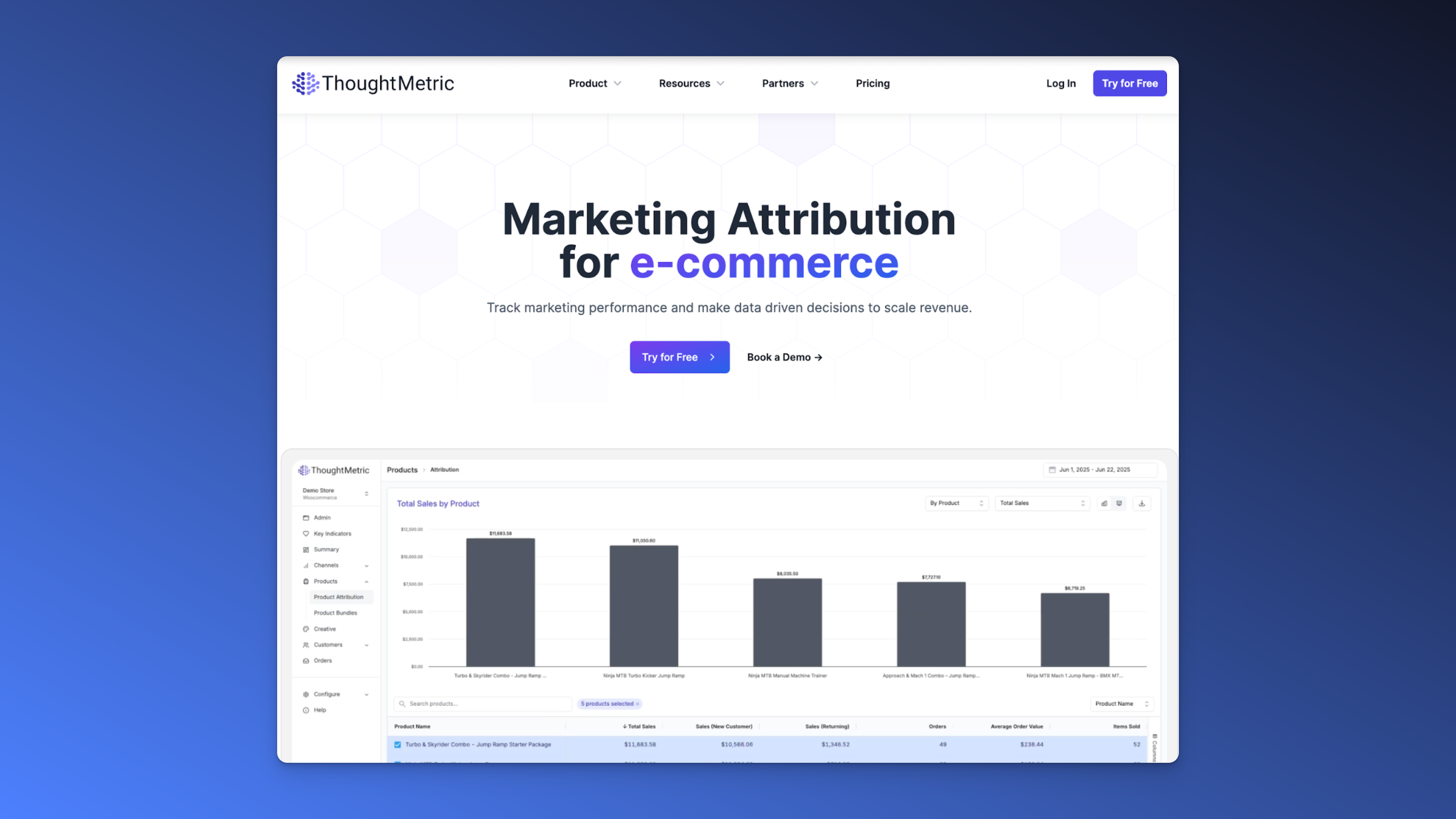 ThoughtMetric Ecommerce analytics tool