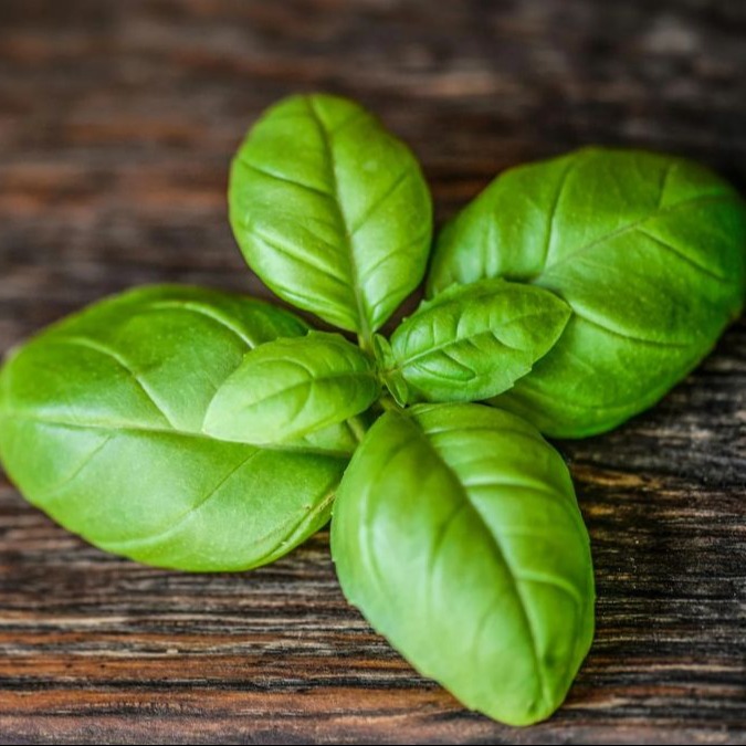 A mint leaf sprig on a wooden surface