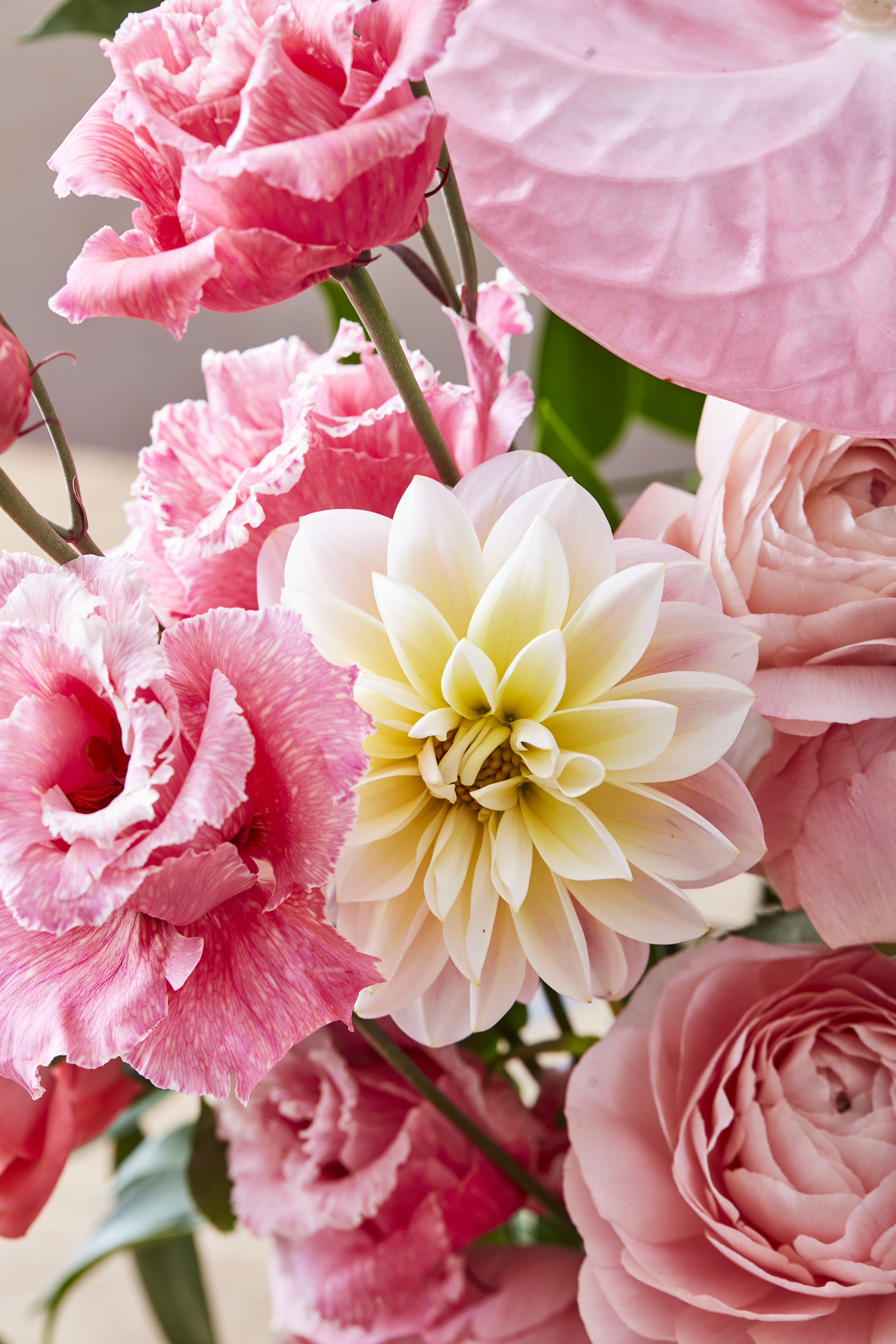 A bunch of different rose flowers