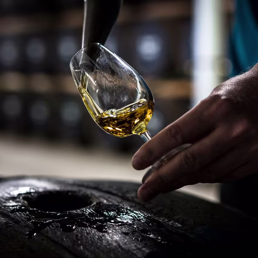 The Singleton Glen Ord cask sample
