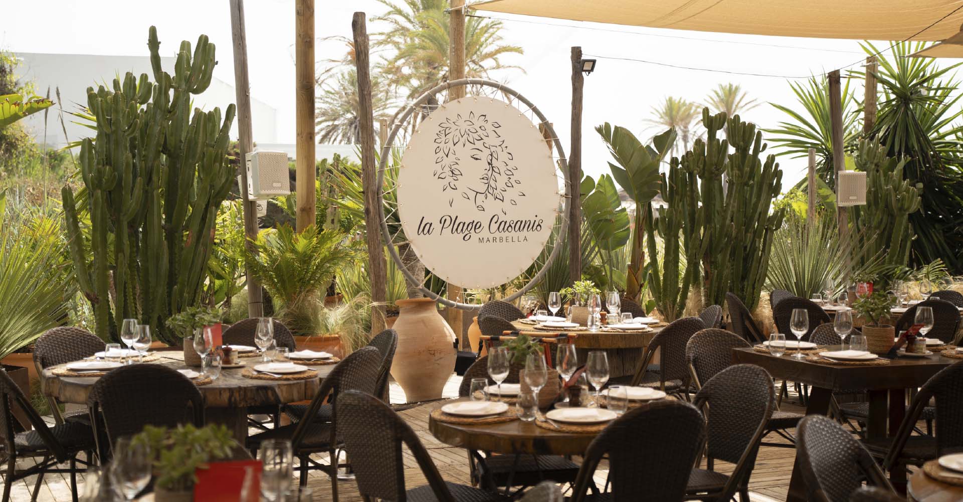 La Plage Casanis combina mesas rústicas con un entorno tropical de cactus y palmeras, creando una atmósfera relajada junto al mar en Marbella.