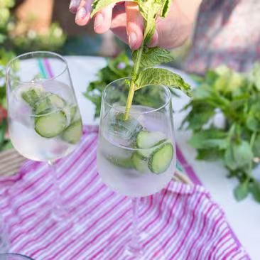Garden Highball