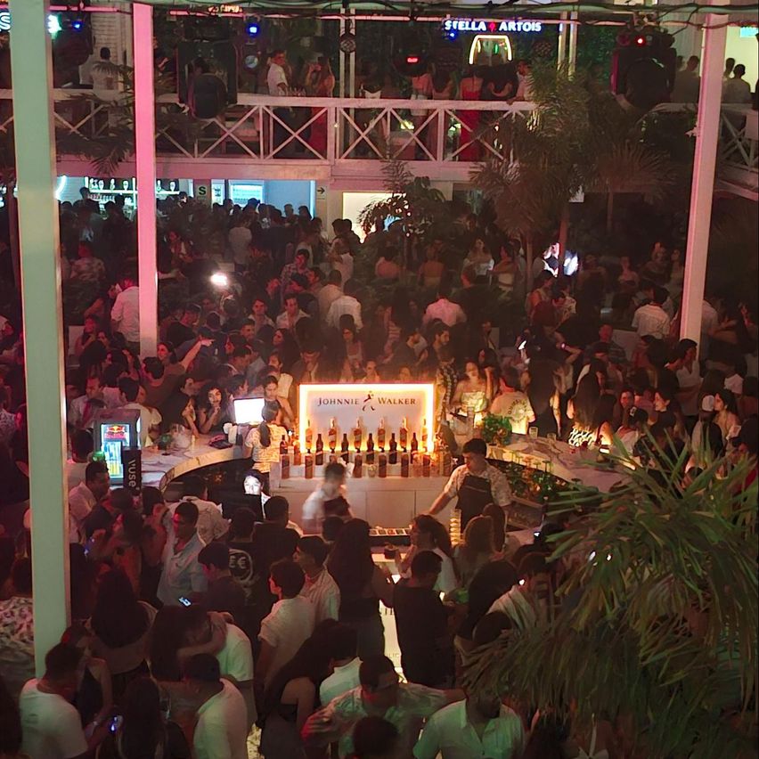 En la imagen se ve el contexto de la discoteca Hacienda, con mucha gente, algunas plantas decorando y la barra de Jhonnie Walker circular.