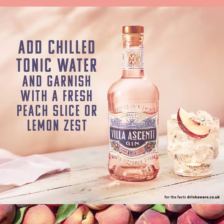 Villa Ascenti Rosa Gin 70cl  serve suggestion