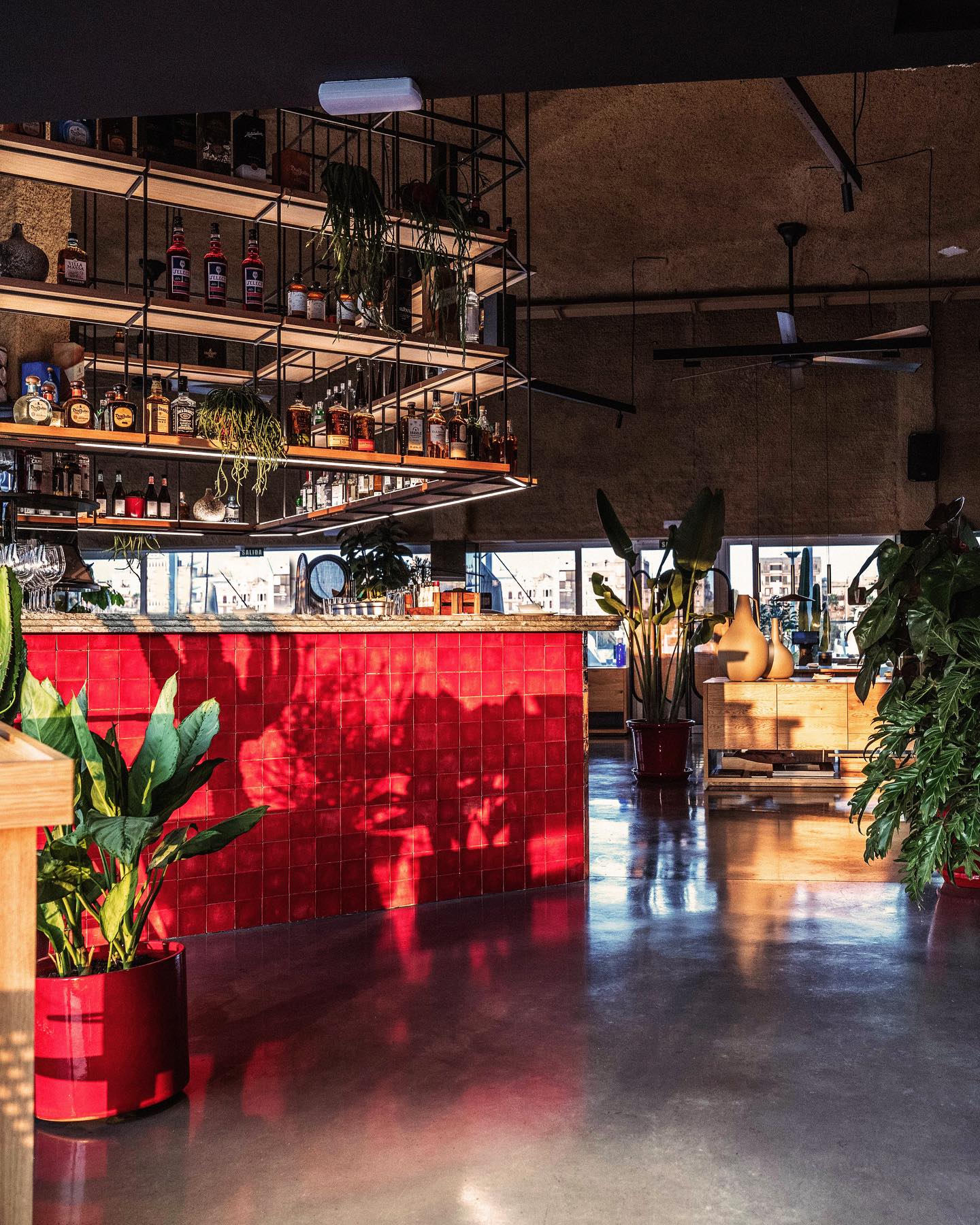 Barra de azulejos rojos iluminada por luz natural, rodeada de plantas y estantes con botellas en un ambiente moderno y acogedor en Vraba Restaurant.