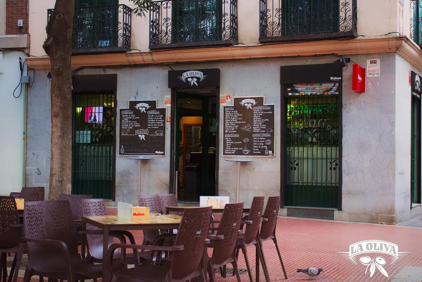 Bar La Oliva HERO
