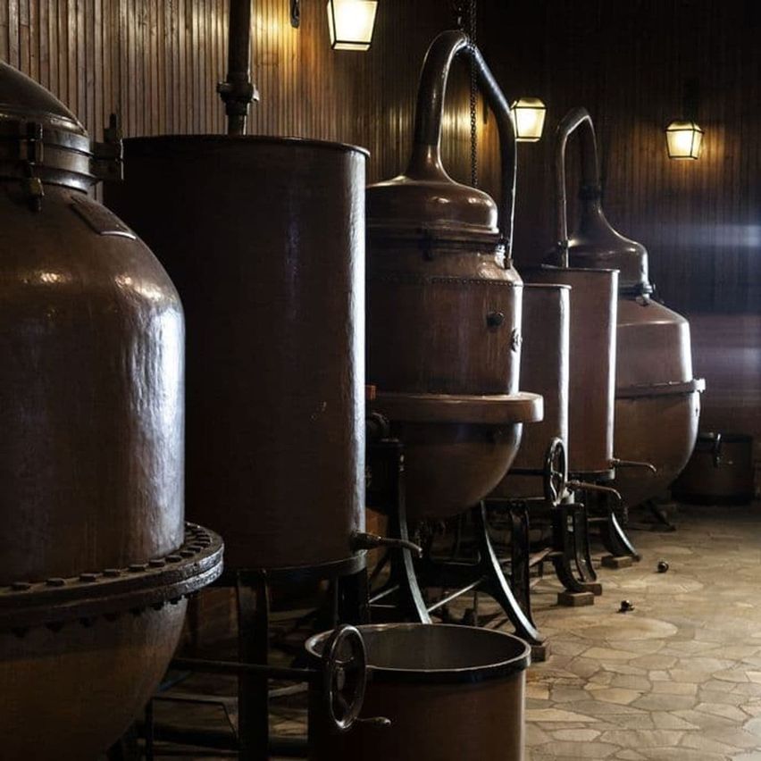 ulonbozo gin izek es szinek