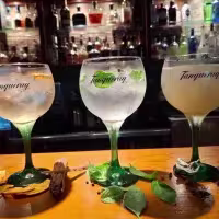 Tres cócteles distintos de gin & tonic