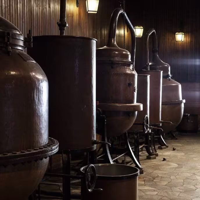Gin stills