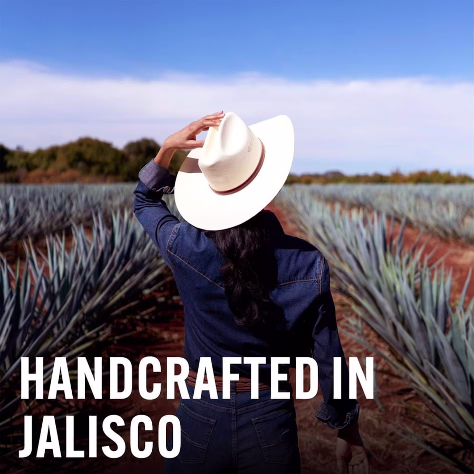 Don Julio Reposado Premium Tequila, 0.7 L 