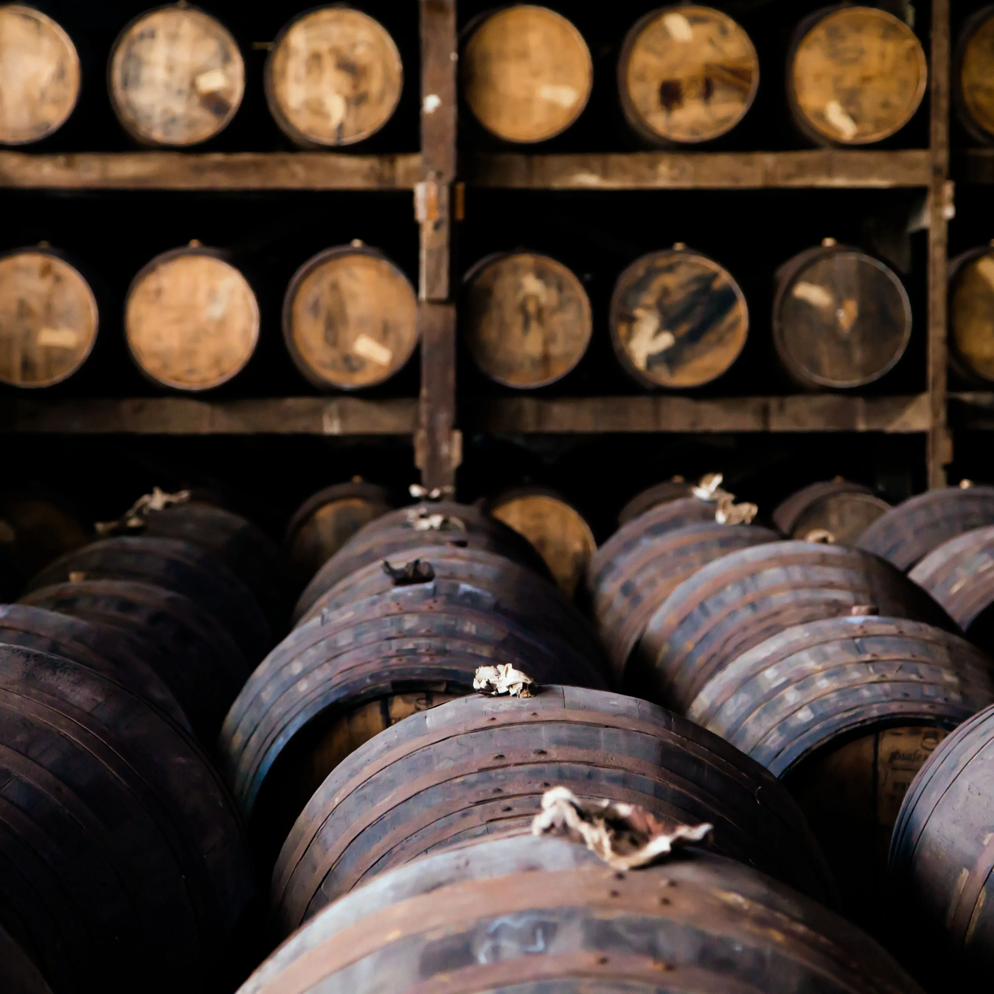 don papa rum