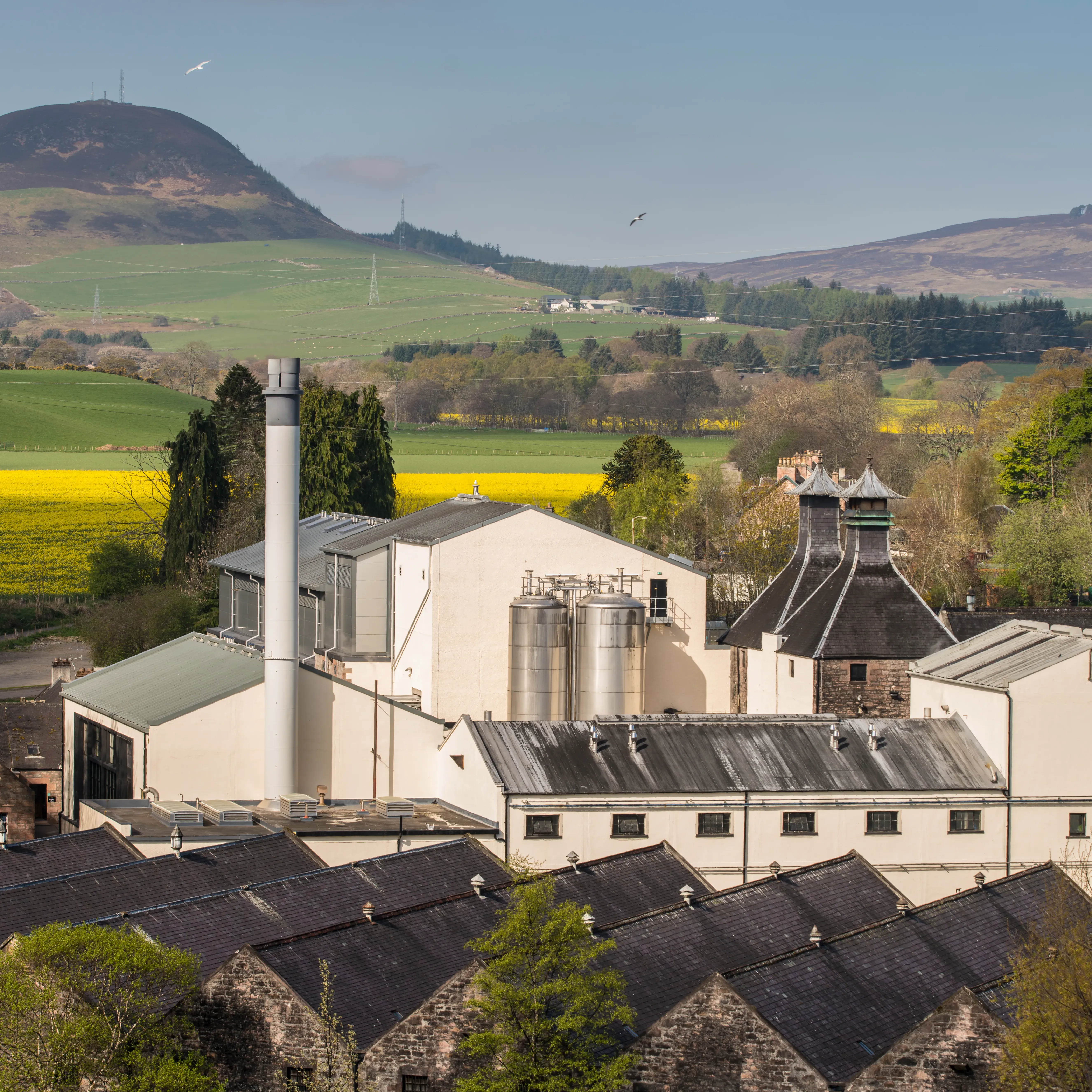 the singleton