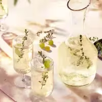 gin diszites