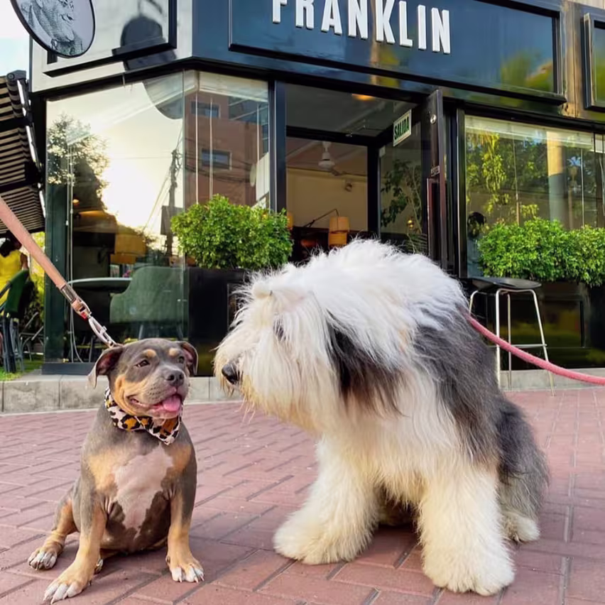 Franklin - San Isidro