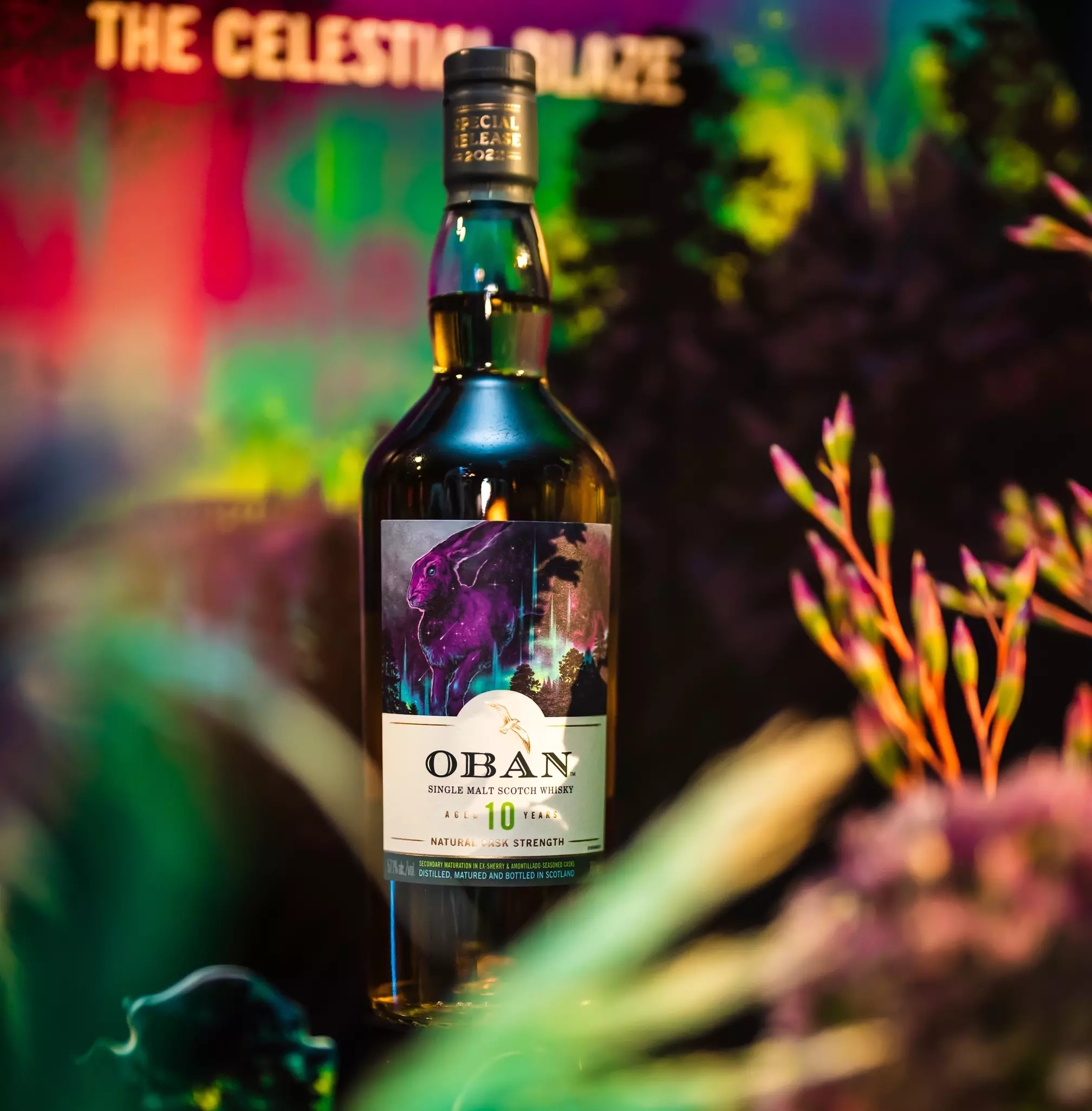 Oban Special Release 10 Year Old Single Malt | The Bar US