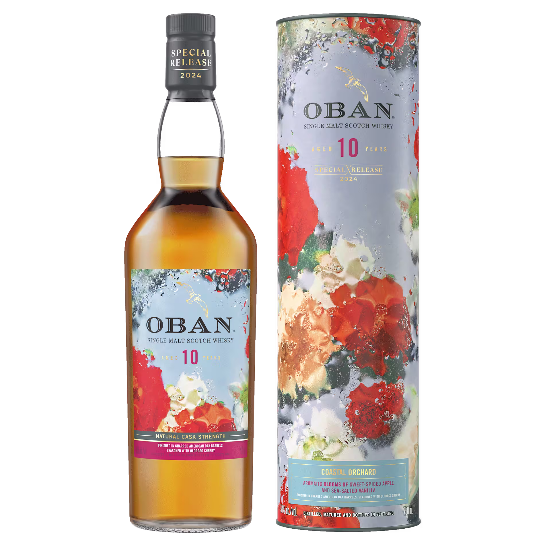 A bottle of Oban 10 Year Old Single Malt Scotch Whisky and its cylindrical floral-patterned box, both labeled as a 2024 special release.