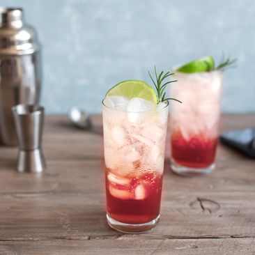 Sloe Gin 