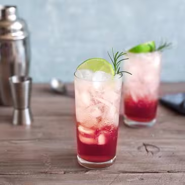 Sloe Gin 