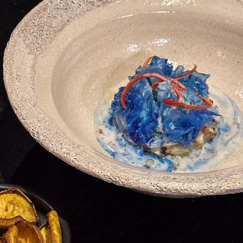 La imagen muestra un plato gourmet con alimentos de tonalidad azul, acompañados de otros elementos dispuestos en un costado.