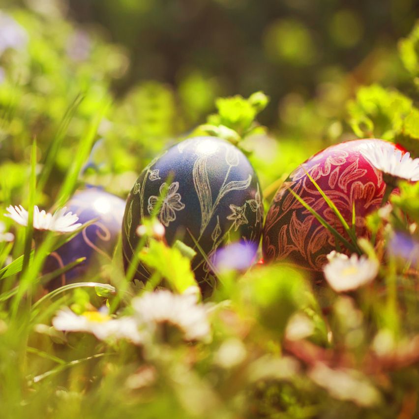 Easter Egg Hunt