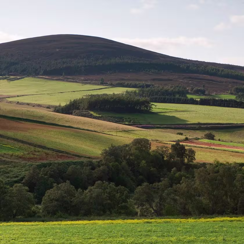 Landscape at Dufftown Distillery 