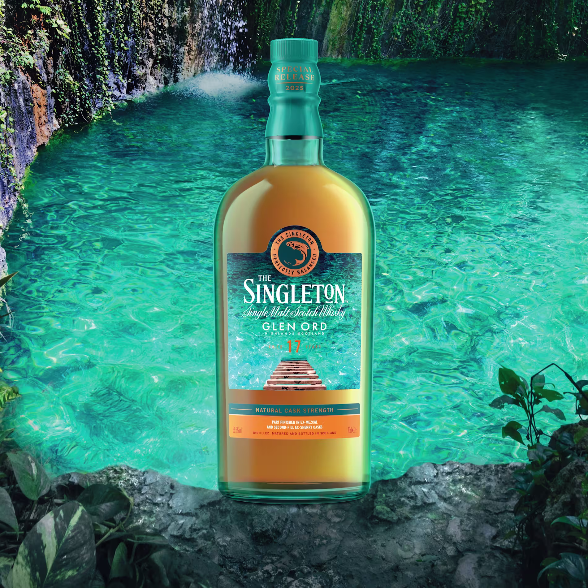 The Singleton Special Release 2025 