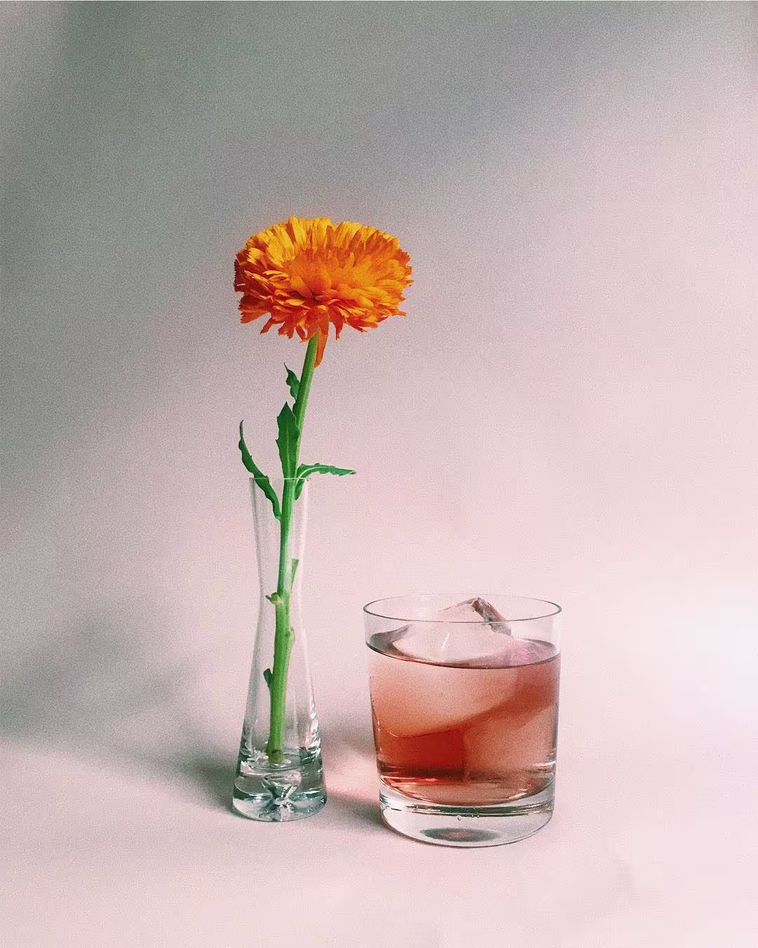 En Marlowe, un cóctel rosado con hielo se alinea con una flor naranja en un jarrón de cristal, destacando minimalismo y elegancia.