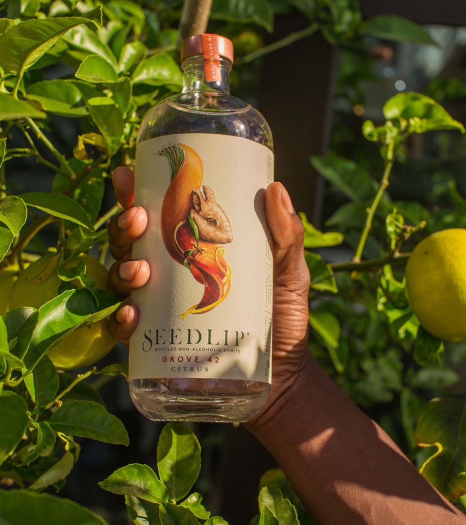 Seedlip Grove 42 photoshoot