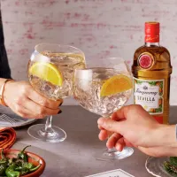 gin diszites