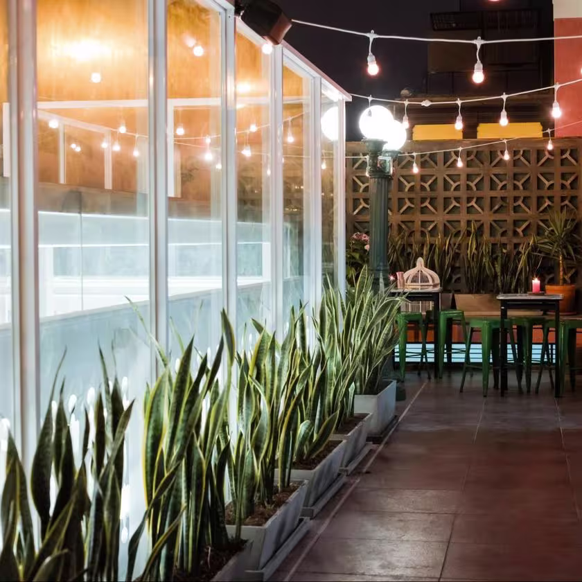 Se muestra la barra del lugar, a la izquierda plantas, al fondo mesas y sillas, con luces colgantes