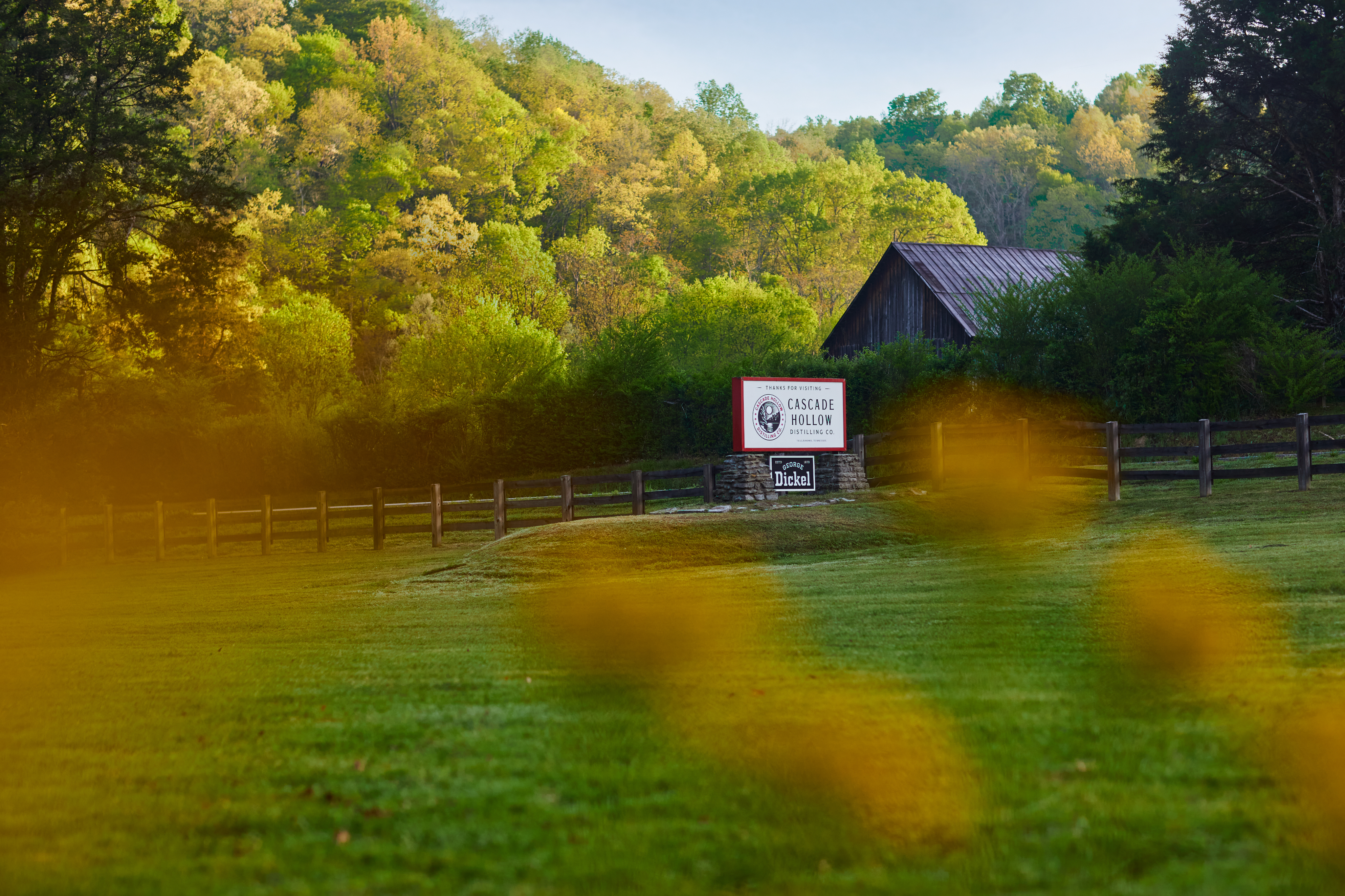 A grassy field with yellow flowers in the foreground, a wooden fence, and a sign for Cascade Hollow Distilling Co. in front of a barn and trees.