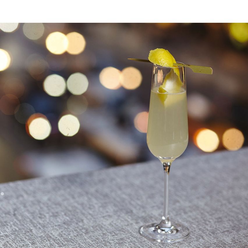 gin fizz,  a classic gin cocktail