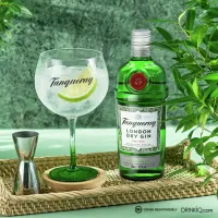 La imagen muestra una copa rellena con Gin & Tonic junto a una botella de gin Tanqueray London Dry y otros elementos de coctelería.