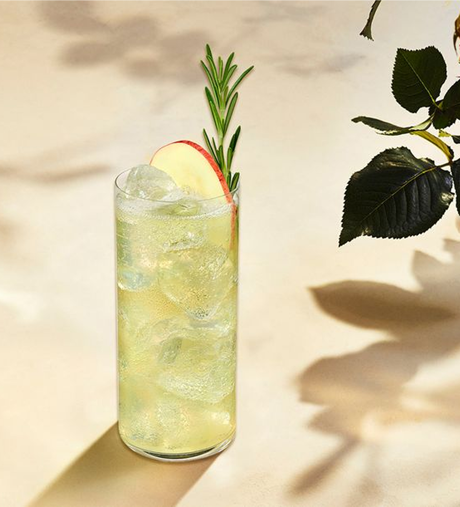 Blended Scotch Whisky & Ginger Ale Cocktail