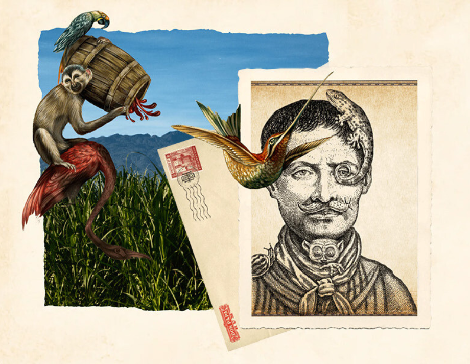Don Papa Rum History Image