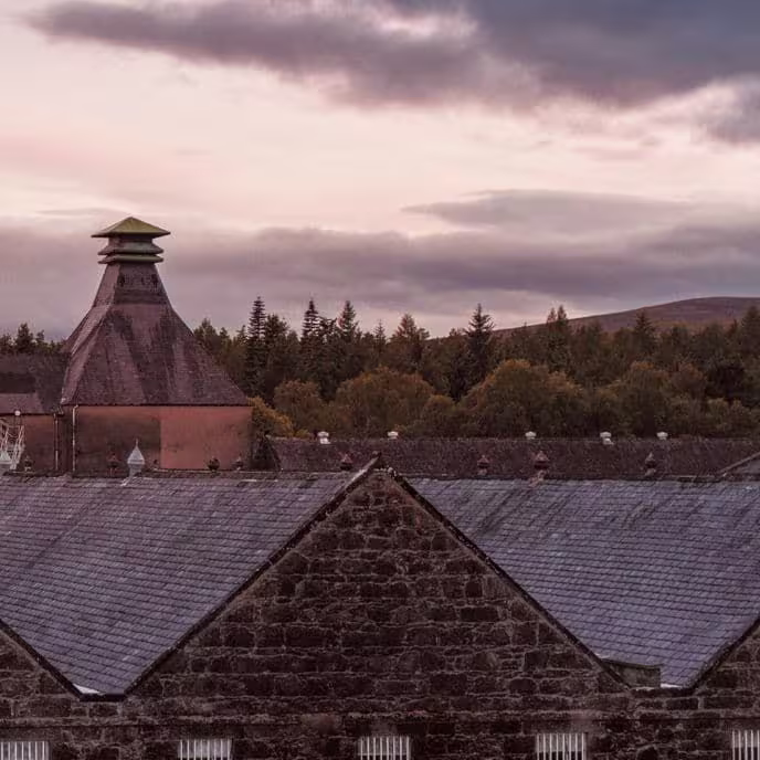 Whisky production: from grain to glass