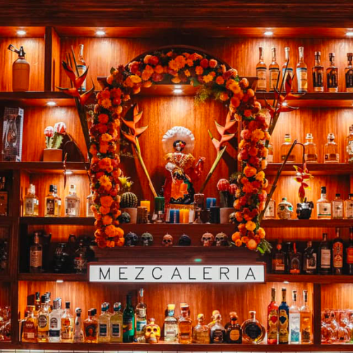 María Mezcal