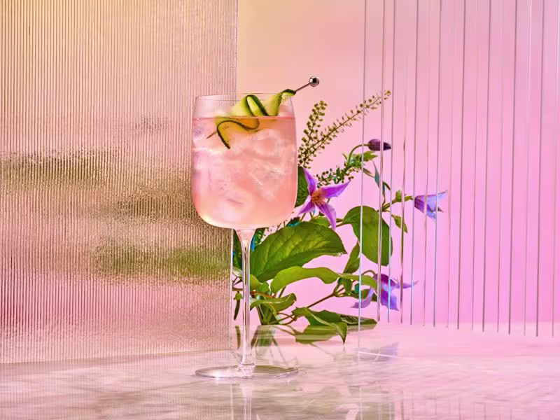 Watermelon Spritz (4)