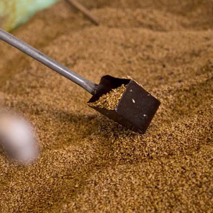 Whisky production from grain to glass