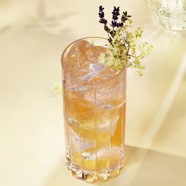 Johnnie and Elderflower
