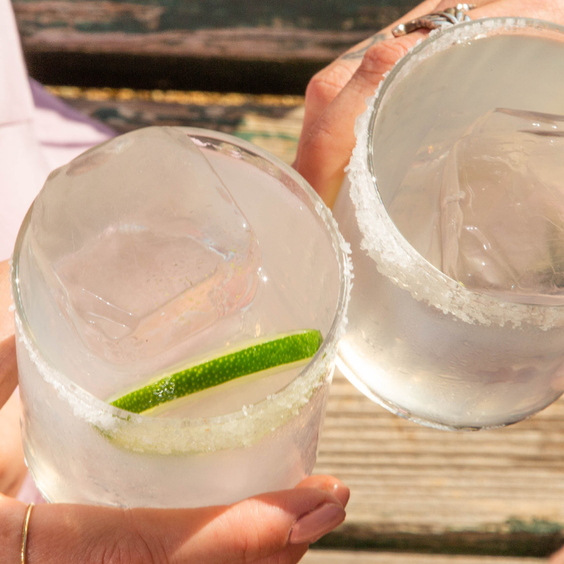 People toasting in the garden