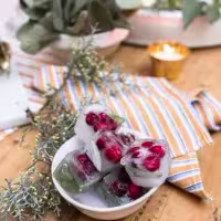 La imagen muestra un recipiente con cubos de hielo con frutas dentro de él.