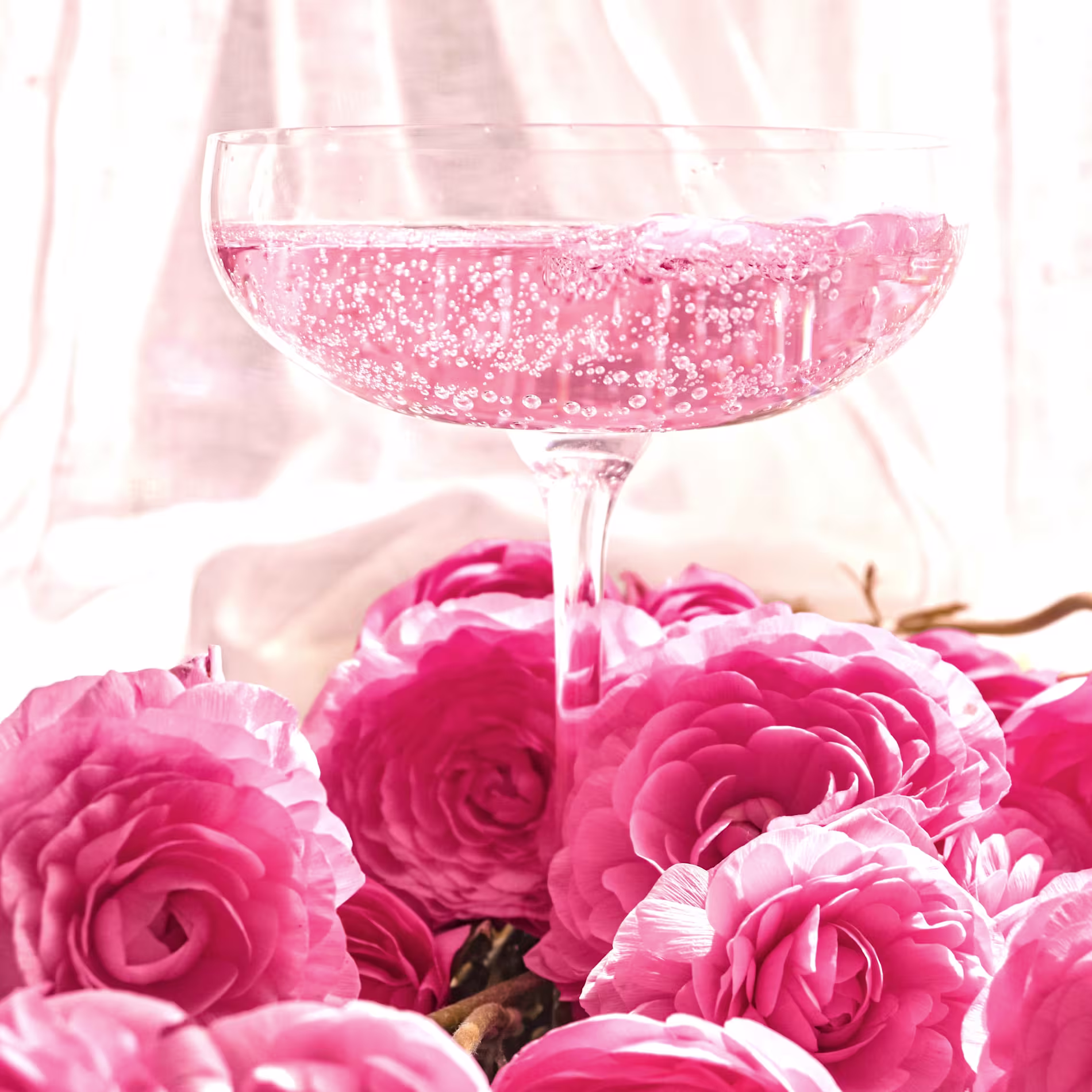 A coupe glass filled with pink sparkling liquid is surrounded by several pink roses, set against a soft, light background.