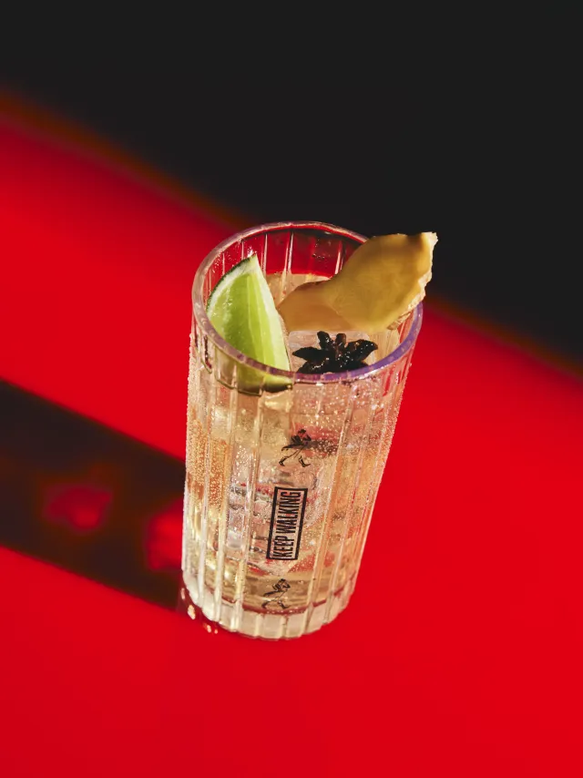 Johnnie & Ginger Image promo